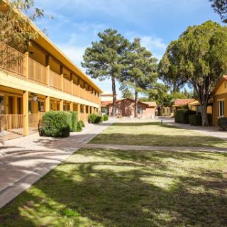 A serene view of a school campus showing wooden buildings surrounded by green grass and trees under a clear blue sky.