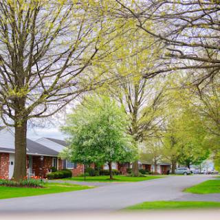 A serene residential neighborhood in spring, lined with lush green trees.