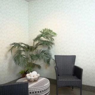 A cozy indoor seating area with two chairs, a small table, and a potted plant in the corner.