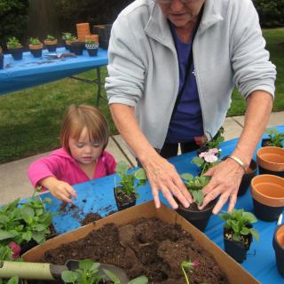 A child and an adult are engaging in a gardening activity together outdoors, planting small plants into pots on a blue table.