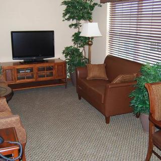 A cozy living room with a television, brown furniture, and indoor plants.