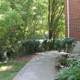 A concrete pathway lined with shrubs and trees alongside a brick building.