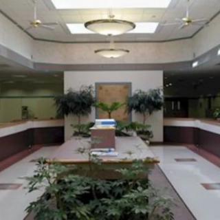 A modern office lobby with plants and a reception area.