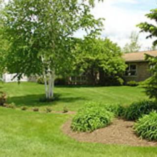 A well-maintained garden featuring a lush lawn, trees, and bushes.