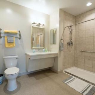 A modern bathroom with a toilet, sink, and accessible shower area.