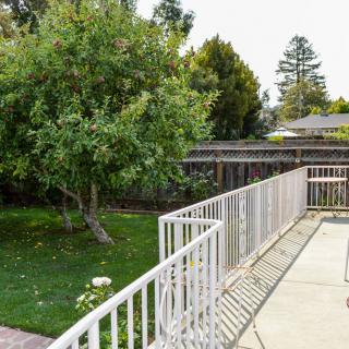 A peaceful backyard garden with a tree, lawn, and a white fence along a paved area.