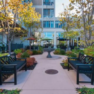 A tranquil urban garden with benches and pathways surrounded by trees and greenery.