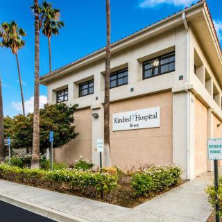 A modern hospital building with palm trees on a sunny day.