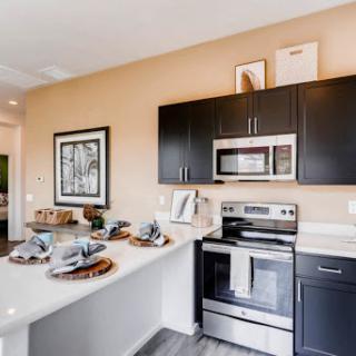 A stylish modern kitchen featuring sleek black cabinets, stainless steel appliances, and elegant decorative touches.