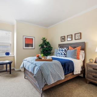 A cozy and well-decorated bedroom featuring a bed with colorful pillows, artwork on the walls, and a potted plant by the window.