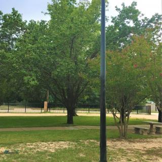 A peaceful park scene with lush greenery, a bench, and a lamp post along a pathway.