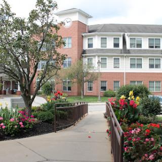 A scenic view of a residential building surrounded by vibrant flowers and greenery.