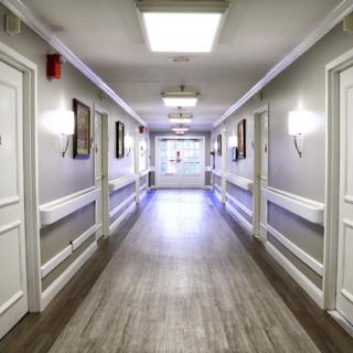 A well-lit, modern hallway featuring multiple doors and a clean design.