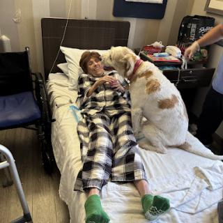 A comforting moment between a patient and a dog in a hospital setting.