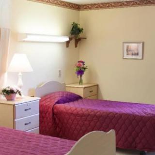 A cozy bedroom with twin beds adorned in purple bedding, complete with nightstands and decorative plants.