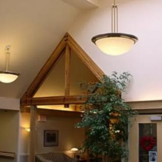 A cozy lobby area featuring modern lighting and a large indoor plant.