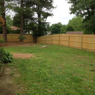 A fenced backyard with grass and trees.