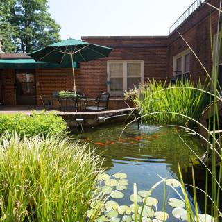 A tranquil garden patio with a pond surrounded by lush greenery and outdoor seating.
