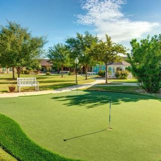 A sunny day at a well-maintained golf putting green surrounded by trees.