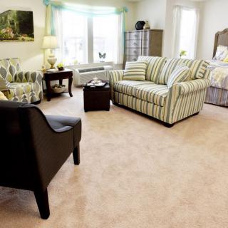 A cozy living room with striped furniture and natural light.