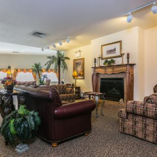 A cozy living room with a fireplace, leather sofa, and plaid armchair surrounded by houseplants.
