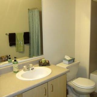 A clean bathroom with a sink, mirror, and toilet.