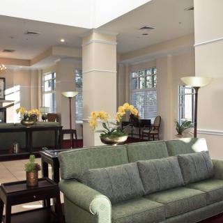 A modern living room with elegant furniture and bright natural lighting.