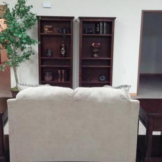 A cozy living room setup with a beige sofa, dark wood bookshelves, and indoor greenery.