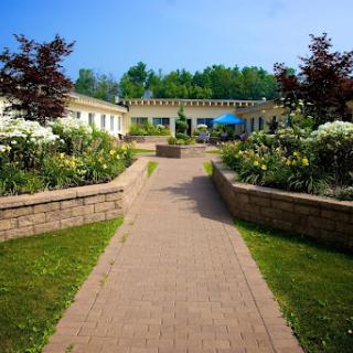 A serene garden pathway flanked by lush greenery and blooming flowers, leading to a peaceful outdoor space.