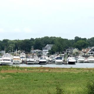 A serene view of a marina filled with boats surrounded by lush greenery.