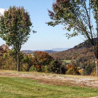 A scenic autumn landscape with trees and distant mountains.