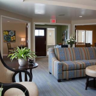A cozy and well-decorated living room with a striped sofa, potted plants, and stylish furniture.