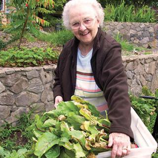 An elderly woman happily harvesting vegetables in her garden.