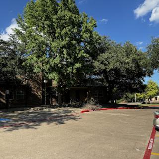 A serene outdoor space featuring a large tree in front of a building under a clear blue sky.