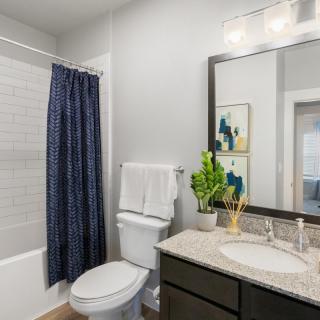 A modern bathroom featuring a shower with a blue curtain, a toilet, and a sink with a mirror above. The decor includes a potted plant and indoor lighting.