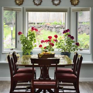 A cozy dining room with a wooden table and chairs, surrounded by large windows and vibrant potted flowers.