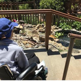 A person in a wheelchair wearing a blue hat is observing a garden area with rocks and plants, using an accessible ramp.