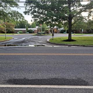 A quiet road with a puddle and a tree-lined neighborhood in the background.