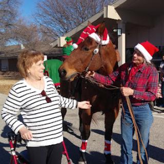 A festive gathering with a horse wearing a Santa hat, bringing holiday joy to the scene.