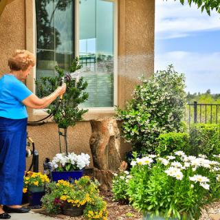 A woman is watering her garden filled with various flowers and plants.