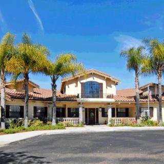 A sunny view of a residential building with palm trees lining the driveway.