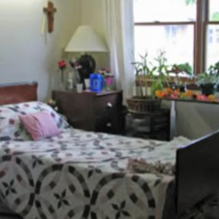 A cozy bedroom with a bed covered in a patterned quilt, a dresser with a lamp, and plants on the windowsill.