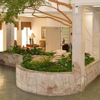 An indoor garden within an office setting, featuring lush greenery and modern decor.