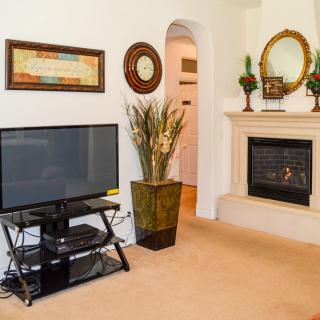 A cozy living room featuring a television, fireplace, and decorative elements.