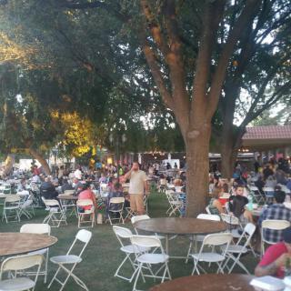 A large group of people gathered outdoors with tables and chairs under trees.