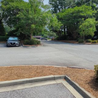 A serene parking lot surrounded by trees, featuring empty parking spaces and a clear view of the road.
