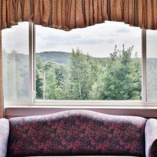 A cozy room with a view of lush green trees through a large window.