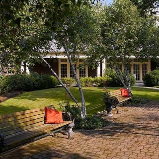 A serene garden setting with benches and lush greenery.