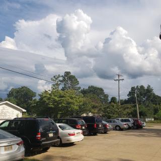 A view of a busy parking lot beneath a cloudy sky, surrounded by greenery.