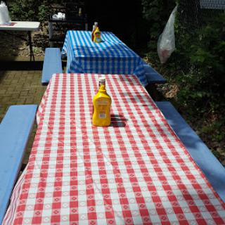 Two picnic tables covered with checkered tablecloths, one red and one blue, each featuring a mustard bottle.